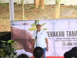 Peringati Hari Lingkungan Hidup Sedunia, Jasa Tirta II Tanam Pohon Serentak di Seluruh Wilayah Kerja