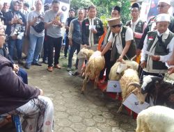 H. Budi Hermawan (RBH) Mengshodaqohkan Hewan Qurban Kepada Korcam, Partai Pendukung dan Warga Sekitar