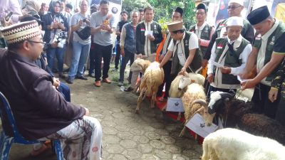H. Budi Hermawan (RBH) Mengshodaqohkan Hewan Qurban Kepada Korcam, Partai Pendukung dan Warga Sekitar