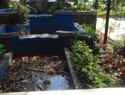 Kondisi Lingkungan Pemda Purwakarta Terlihat Kumuh dan tidak Terawat
