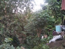 Erosi Sungai Mengancam Pemukiman Warga di Kalimati Karang Tanjung
