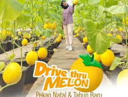 Serunya Liburan Natal dan Tahun Baru di Taman Buah Mekarsari Tiket Mulai Rp35 Ribu, Nikmati Petik Buah hingga Durian Segar!