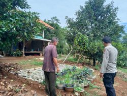 Dukung Program Ketahanan Pangan, Bhabinkamtibmas Polres Purwakarta Rutin Sambangi Masyarakat