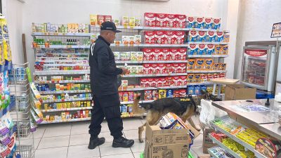 Anjing Pelacak K-9 Diterjunkan Ungkap Pembobolan Indomart Perum BIP Purwakarta