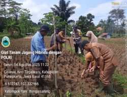 Bersama Kelompok Tani, Bhabinkamtibmas Di Purwakarta Lakukan penanaman Jagung di Kecamatan Tegalwaru