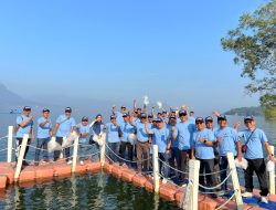 Perkuat Ekosistem Perairan, Jasa Tirta II Tebar Benih Ikan di Bendungan Jatiluhur