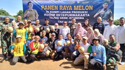 Panen Raya Melon Kodim 0619 Purwakarta, Perkuat Ketahanan Ekonomi Desa